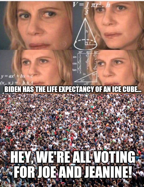 BIDEN HAS THE LIFE EXPECTANCY OF AN ICE CUBE... HEY, WE'RE ALL VOTING FOR JOE AND JEANINE! | image tagged in crowd of people,math lady/confused lady | made w/ Imgflip meme maker