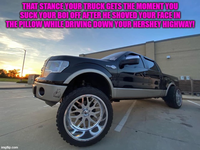 squat life |  THAT STANCE YOUR TRUCK GETS THE MOMENT YOU SUCK YOUR BOI OFF AFTER HE SHOVED YOUR FACE IN THE PILLOW WHILE DRIVING DOWN YOUR HERSHEY HIGHWAY! | image tagged in squat life,carolina squat | made w/ Imgflip meme maker