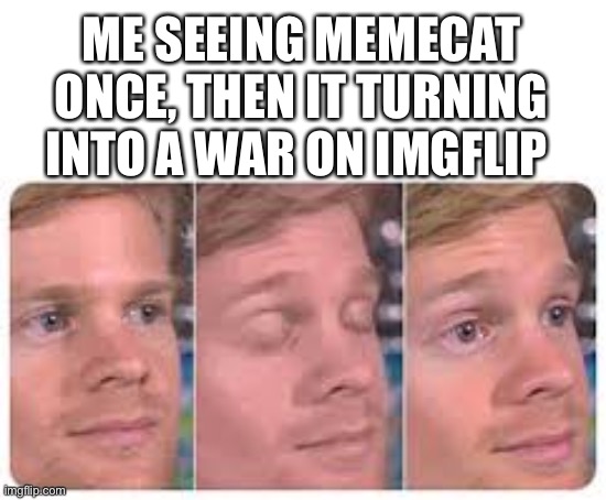 The first person to |  ME SEEING MEMECAT ONCE, THEN IT TURNING INTO A WAR ON IMGFLIP | image tagged in memecat,war,milkman,imgflip,the first person to | made w/ Imgflip meme maker