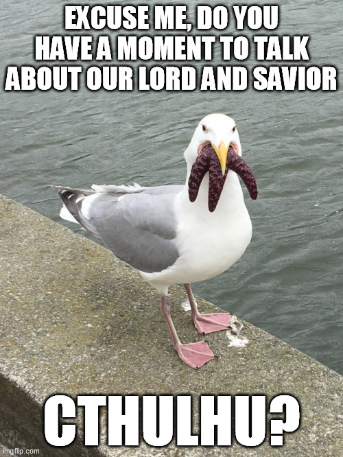 EXCUSE ME, DO YOU HAVE A MOMENT TO TALK ABOUT OUR LORD AND SAVIOR; CTHULHU? | image tagged in cthulhu,lovecraft,seagull,starfish,excuse me | made w/ Imgflip meme maker