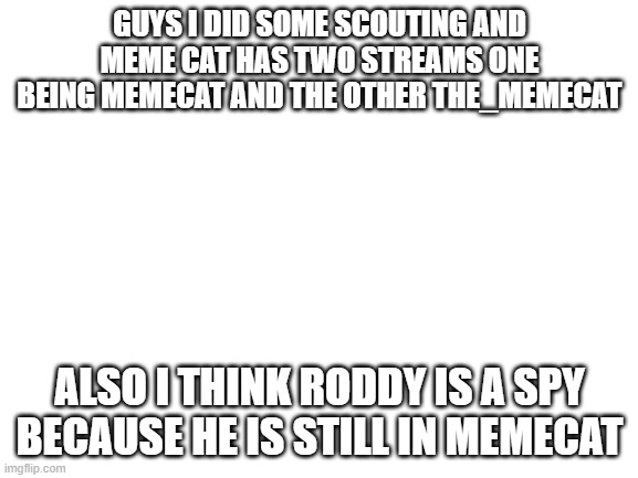 Blank White Template | GUYS I DID SOME SCOUTING AND MEME CAT HAS TWO STREAMS ONE BEING MEMECAT AND THE OTHER THE_MEMECAT; ALSO I THINK RODDY IS A SPY BECAUSE HE IS STILL IN MEMECAT | image tagged in blank white template | made w/ Imgflip meme maker