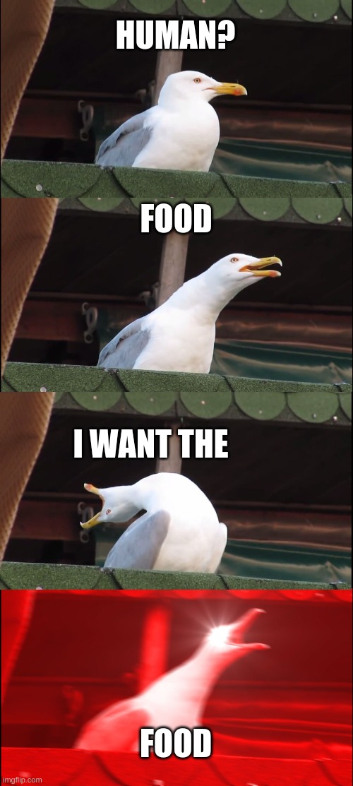 Inhaling Seagull | HUMAN? FOOD; I WANT THE; FOOD | image tagged in memes,inhaling seagull | made w/ Imgflip meme maker