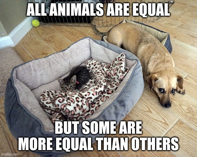 Animal farm meme | ALL ANIMALS ARE EQUAL; BUT SOME ARE MORE EQUAL THAN OTHERS | image tagged in animals | made w/ Imgflip meme maker