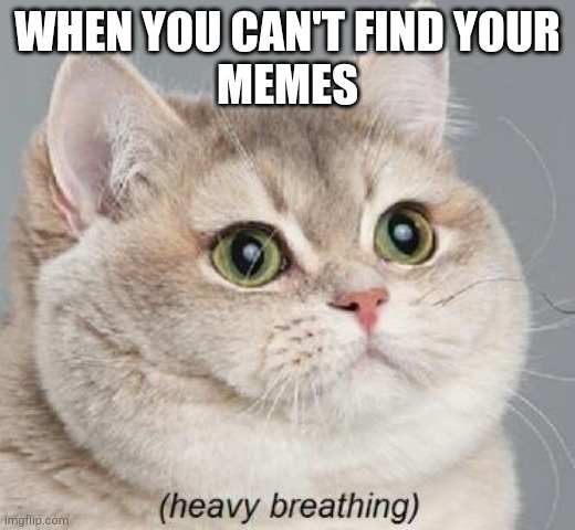 Heavy Breathing Cat | WHEN YOU CAN'T FIND YOUR
MEMES | image tagged in memes,heavy breathing cat | made w/ Imgflip meme maker
