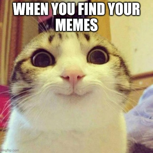 Smiling Cat Meme | WHEN YOU FIND YOUR
MEMES | image tagged in memes,smiling cat | made w/ Imgflip meme maker