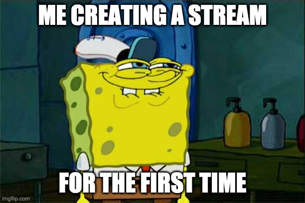 yay! |  ME CREATING A STREAM; FOR THE FIRST TIME | image tagged in memes,don't you squidward | made w/ Imgflip meme maker