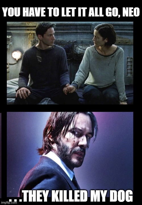 Triggered |  YOU HAVE TO LET IT ALL GO, NEO; . . .THEY KILLED MY DOG | image tagged in matrix,neo,john wick,matrix morpheus,funny,imgflip | made w/ Imgflip meme maker