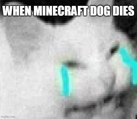 the pain | WHEN MINECRAFT DOG DIES | image tagged in minecraft | made w/ Imgflip meme maker