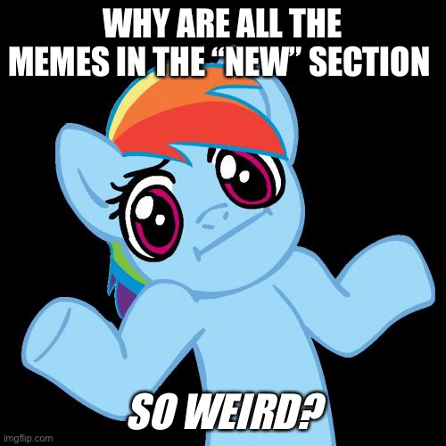 Seriously what the heck |  WHY ARE ALL THE MEMES IN THE “NEW” SECTION; SO WEIRD? | image tagged in memes,pony shrugs | made w/ Imgflip meme maker