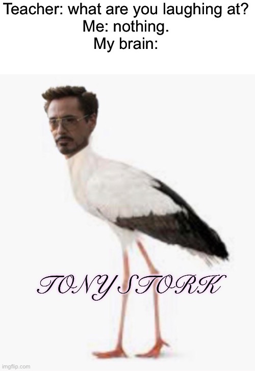 Teacher: what are you laughing at?
Me: nothing.
My brain: TONY STORK | made w/ Imgflip meme maker