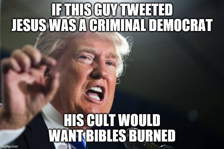 donald trump | IF THIS GUY TWEETED JESUS WAS A CRIMINAL DEMOCRAT; HIS CULT WOULD WANT BIBLES BURNED | image tagged in donald trump | made w/ Imgflip meme maker