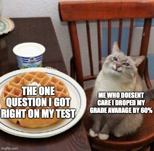 yea i got 2% on my test yay | ME WHO DOESENT CARE I DROPED MY GRADE AVARAGE BY 60%; THE ONE QUESTION I GOT RIGHT ON MY TEST | image tagged in cat likes their waffle | made w/ Imgflip meme maker