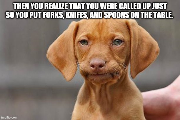 Dissapointed puppy | THEN YOU REALIZE THAT YOU WERE CALLED UP JUST SO YOU PUT FORKS, KNIFES, AND SPOONS ON THE TABLE. | image tagged in dissapointed puppy | made w/ Imgflip meme maker