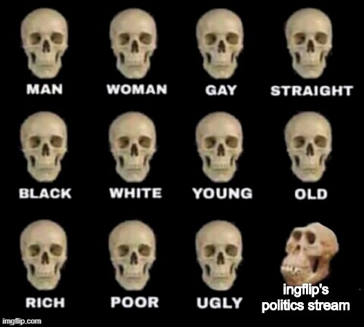 Idiot Skull meme | ingflip's politics stream | image tagged in idiot skull,memes,politics,political meme | made w/ Imgflip meme maker