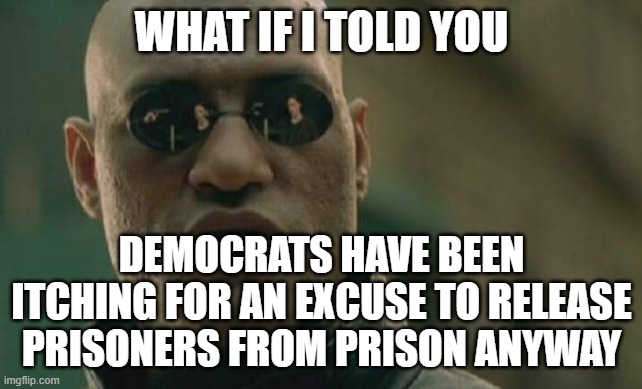 Matrix Morpheus Meme | WHAT IF I TOLD YOU DEMOCRATS HAVE BEEN ITCHING FOR AN EXCUSE TO RELEASE PRISONERS FROM PRISON ANYWAY | image tagged in memes,matrix morpheus | made w/ Imgflip meme maker