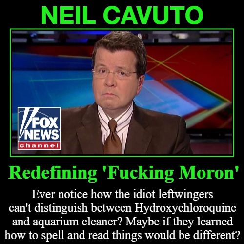 Neil Cavuto: Redefining The Word 'Moron.' | NEIL CAVUTO | image tagged in neil cavuto,moron,dude you're an idiot,media bias,liberal media,faux news | made w/ Imgflip meme maker