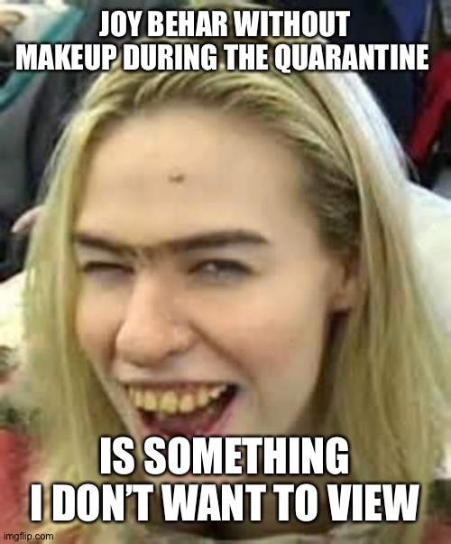 ugly girl | JOY BEHAR WITHOUT MAKEUP DURING THE QUARANTINE; IS SOMETHING I DON’T WANT TO VIEW | image tagged in ugly girl | made w/ Imgflip meme maker