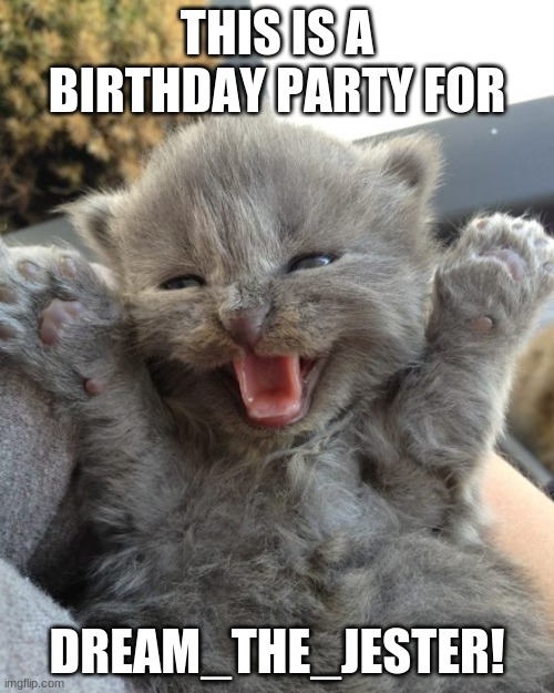 happy birthday! | THIS IS A BIRTHDAY PARTY FOR; DREAM_THE_JESTER! | image tagged in yay kitty | made w/ Imgflip meme maker