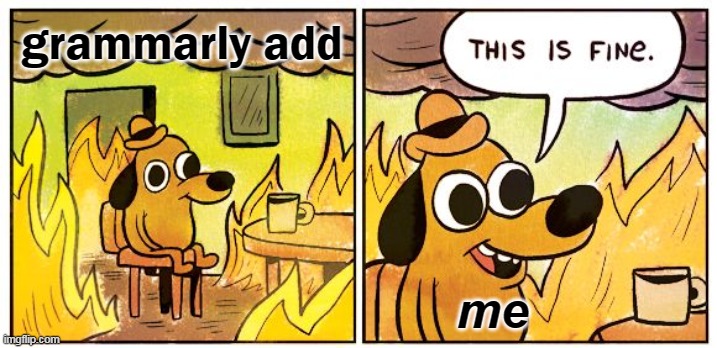 This Is Fine Meme | grammarly add; me | image tagged in memes,this is fine | made w/ Imgflip meme maker