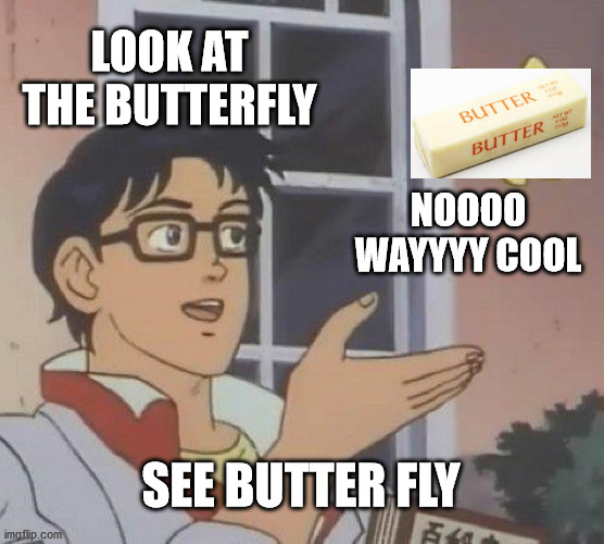 Is This A Pigeon | LOOK AT THE BUTTERFLY; NOOOO WAYYYY COOL; SEE BUTTER FLY | image tagged in memes,is this a pigeon | made w/ Imgflip meme maker