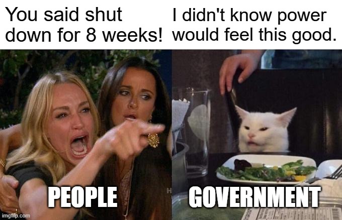 To infinity and beyond. | You said shut down for 8 weeks! I didn't know power would feel this good. GOVERNMENT; PEOPLE | image tagged in woman yelling at cat,shut downs,government,government power,totalitarian,lockdown | made w/ Imgflip meme maker