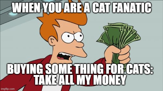 Cat Fanatic | WHEN YOU ARE A CAT FANATIC; BUYING SOME THING FOR CATS:; TAKE ALL MY MONEY | image tagged in memes,shut up and take my money fry | made w/ Imgflip meme maker