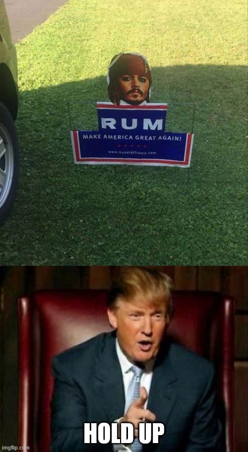 Mmm Rum | HOLD UP | image tagged in donald trump,jack sparrow,hold up,why am i doing this,stop reading the tags | made w/ Imgflip meme maker