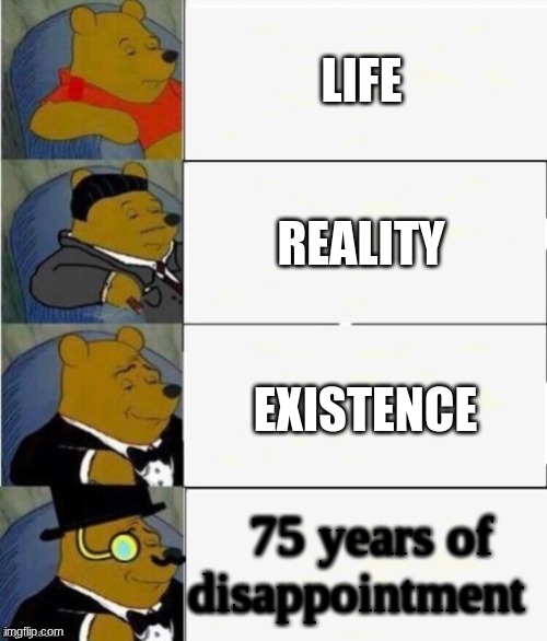 tuxedo winnie the pooh | LIFE; REALITY; EXISTENCE; 75 years of disappointment | image tagged in tuxedo winnie the pooh 4 panel | made w/ Imgflip meme maker