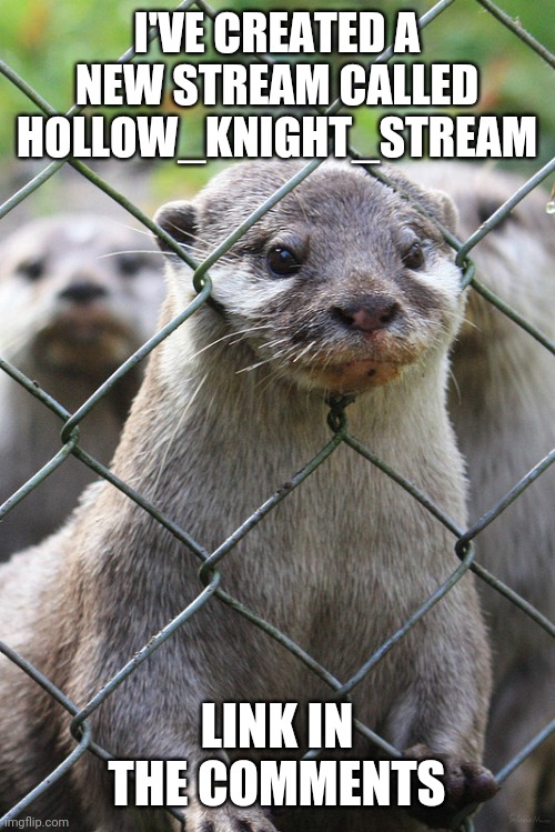 Otter fence | I'VE CREATED A NEW STREAM CALLED HOLLOW_KNIGHT_STREAM; LINK IN THE COMMENTS | image tagged in otter fence | made w/ Imgflip meme maker