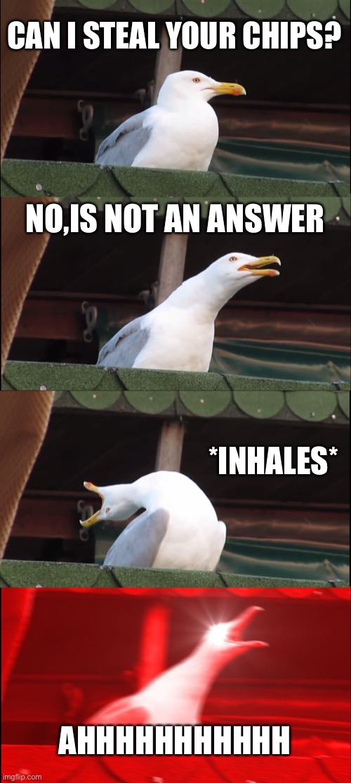 Inhaling Seagull Meme | CAN I STEAL YOUR CHIPS? NO,IS NOT AN ANSWER; *INHALES*; AHHHHHHHHHHH | image tagged in memes,inhaling seagull | made w/ Imgflip meme maker