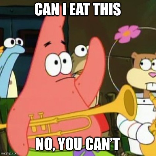 No Patrick Meme | CAN I EAT THIS; NO, YOU CAN’T | image tagged in memes,no patrick | made w/ Imgflip meme maker