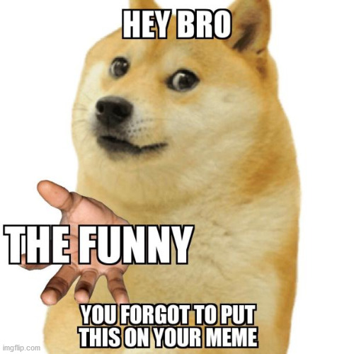 image tagged in doge | made w/ Imgflip meme maker