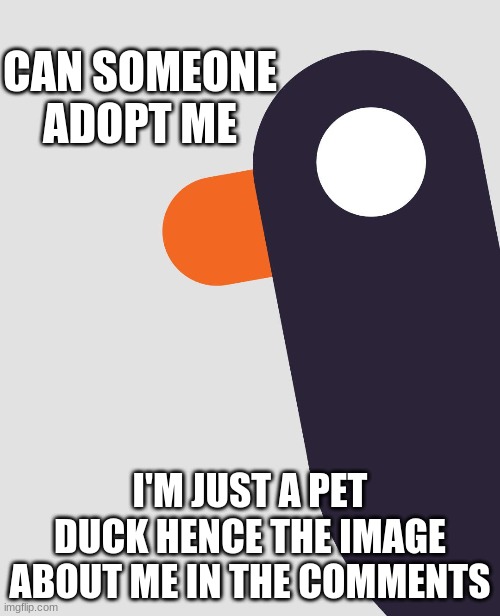 can someone adopt me I just started | CAN SOMEONE ADOPT ME; I'M JUST A PET DUCK HENCE THE IMAGE
ABOUT ME IN THE COMMENTS | made w/ Imgflip meme maker