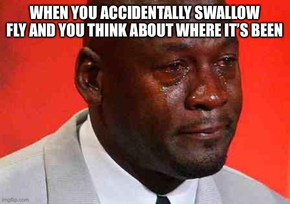 crying michael jordan | WHEN YOU ACCIDENTALLY SWALLOW FLY AND YOU THINK ABOUT WHERE IT’S BEEN | image tagged in crying michael jordan | made w/ Imgflip meme maker