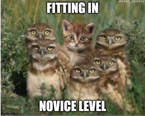 Fitting in | FITTING IN; NOVICE LEVEL | image tagged in animals | made w/ Imgflip meme maker