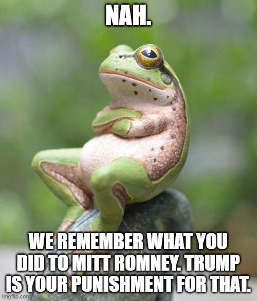 nah frog | NAH. WE REMEMBER WHAT YOU DID TO MITT ROMNEY. TRUMP IS YOUR PUNISHMENT FOR THAT. | image tagged in nah frog | made w/ Imgflip meme maker