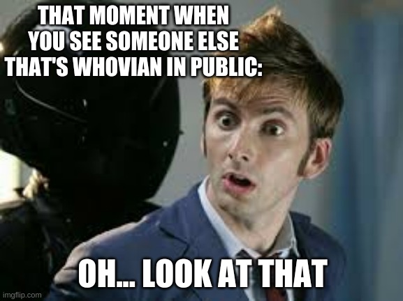 You watch Doctor who too? | THAT MOMENT WHEN YOU SEE SOMEONE ELSE THAT'S WHOVIAN IN PUBLIC:; OH... LOOK AT THAT | image tagged in memes,dr who | made w/ Imgflip meme maker