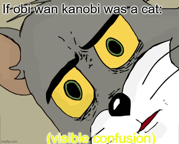 Unsettled Tom | If obi wan kanobi was a cat:; (visible confusion) | image tagged in memes,unsettled tom | made w/ Imgflip meme maker