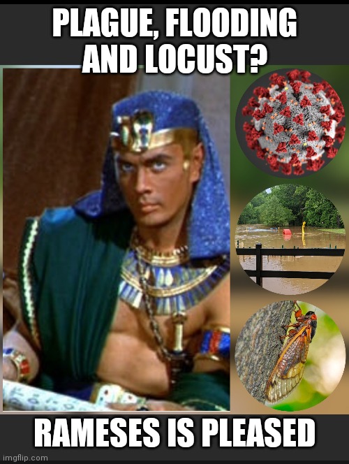 Ramses is pleased | PLAGUE, FLOODING AND LOCUST? RAMESES IS PLEASED | image tagged in covid,plague,ramses | made w/ Imgflip meme maker