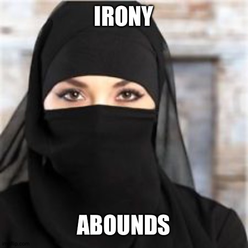 Sharia Law Woman | IRONY; ABOUNDS | image tagged in sharia law woman | made w/ Imgflip meme maker