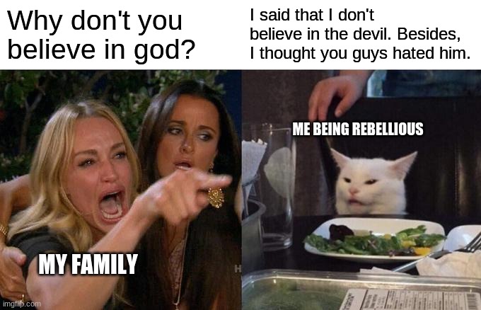 I'm Not Wrong | Why don't you believe in god? I said that I don't believe in the devil. Besides, I thought you guys hated him. ME BEING REBELLIOUS; MY FAMILY | image tagged in memes,woman yelling at cat | made w/ Imgflip meme maker