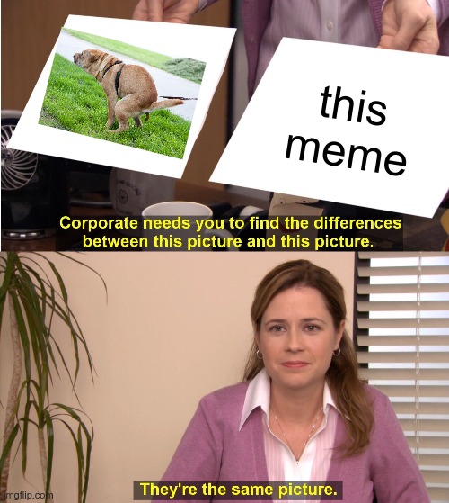 They're The Same Picture Meme | this meme | image tagged in memes,they're the same picture | made w/ Imgflip meme maker