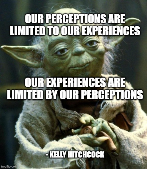 Star Wars Yoda | OUR PERCEPTIONS ARE LIMITED TO OUR EXPERIENCES; OUR EXPERIENCES ARE LIMITED BY OUR PERCEPTIONS; - KELLY HITCHCOCK | image tagged in memes,star wars yoda | made w/ Imgflip meme maker