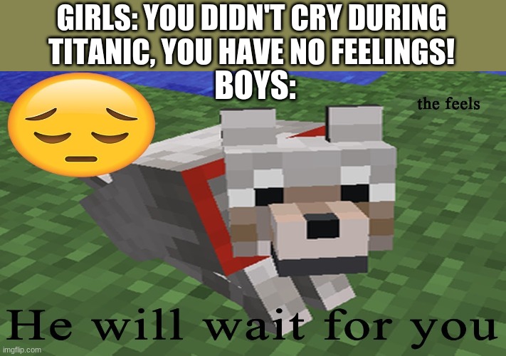 What boys cry about. | GIRLS: YOU DIDN'T CRY DURING TITANIC, YOU HAVE NO FEELINGS! BOYS: | image tagged in minecraft | made w/ Imgflip meme maker