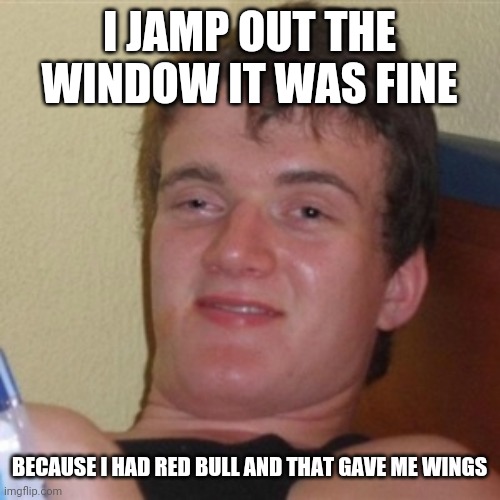 High/Drunk guy | I JAMP OUT THE WINDOW IT WAS FINE; BECAUSE I HAD RED BULL AND THAT GAVE ME WINGS | image tagged in high/drunk guy | made w/ Imgflip meme maker