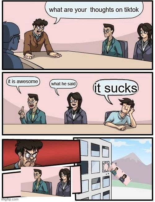 this time he wasn't thrown out because he said the right thing | what are your  thoughts on tiktok; it is awesome; what he said; it sucks | image tagged in memes,boardroom meeting suggestion | made w/ Imgflip meme maker