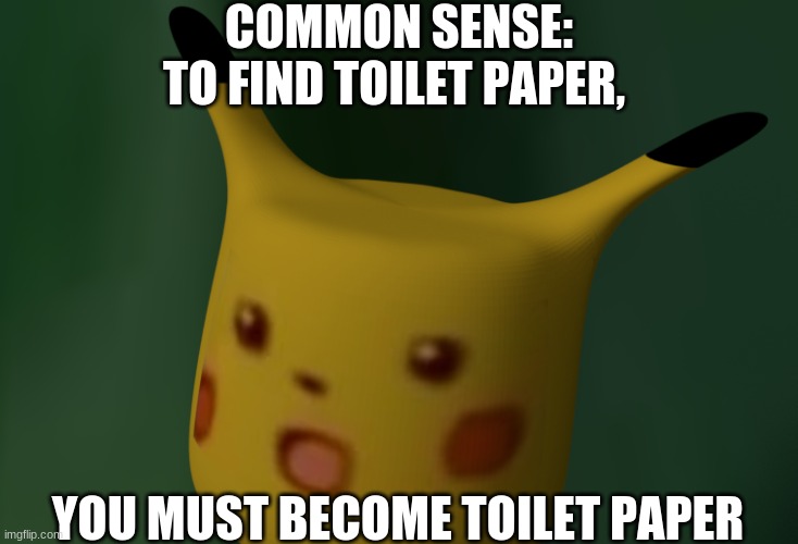 Become one with the toilet paper | COMMON SENSE:
TO FIND TOILET PAPER, YOU MUST BECOME TOILET PAPER | image tagged in memes | made w/ Imgflip meme maker