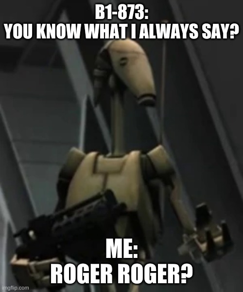 Battle droid advice | B1-873:
YOU KNOW WHAT I ALWAYS SAY? ME:
ROGER ROGER? | image tagged in battle droid advice | made w/ Imgflip meme maker