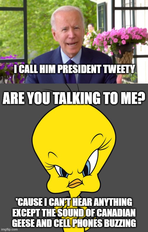 Tweety Bird and Biden | I CALL HIM PRESIDENT TWEETY; ARE YOU TALKING TO ME? 'CAUSE I CAN'T HEAR ANYTHING EXCEPT THE SOUND OF CANADIAN GEESE AND CELL PHONES BUZZING | image tagged in joe biden,tweety bird,trump 2020 | made w/ Imgflip meme maker