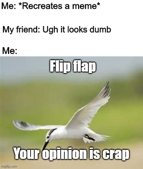Hey, wait a second... |  Me: *Recreates a meme*; My friend: Ugh it looks dumb; Me:; Flip flap; Your opinion is crap | image tagged in memes,bird | made w/ Imgflip meme maker